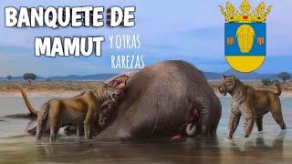 5 CURIOSIDADES que no sabrás si no ves el video 😊 Delfín con bigotes 🐬 [upl. by Oiramaj]