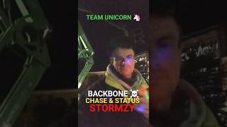 Team Unicorn 🦄 BACKBONE ☠️ CHASE amp STATUS FT STORMZY 🔥 DNB 🎵 DRUM amp BASS MASSIVE 👊 [upl. by Marbut609]