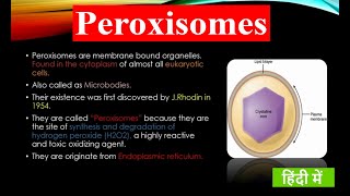 What is Peroxisome   Structure and Functions  Cell Organelles  Fundamental Unit of Life [upl. by Eetnwahs]