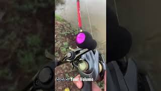 Shimano Slx Dc vs Shimano Curado Dc sound test🔊🔊🔊 [upl. by Shelba141]