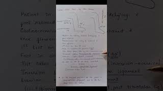 Talar Tilt Test  Ankle [upl. by Crellen]