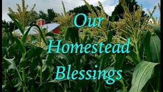 Our Homestead Blessings [upl. by Gilges812]