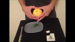 Card to LemonOrange Trick Revealed [upl. by Olimac]