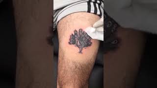 Thigh peacock tattoo for mens [upl. by Shaper449]