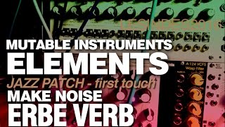 Mutable Instruments ELEMENTS  Make Noise ERBE VERB  JAZZ PATCH  First Touch [upl. by Airbmak]