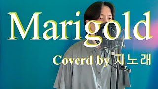 🌼Marigoldマリーゴールド  aimyon🌼 coverd by 지노래 [upl. by Vinia]