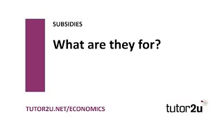 Subsidies  What are Subsidies For  Economics Revision [upl. by Amees]