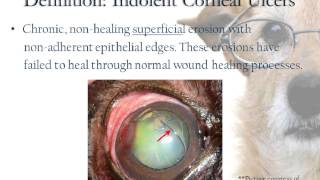 Indolent Corneal Ulcers [upl. by Hare379]