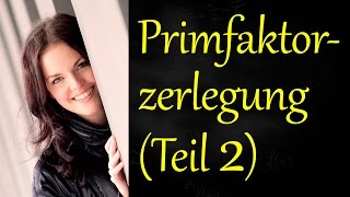 Primfaktorzerlegung Teil 2 Erklärung [upl. by Ahsok72]