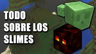 Todo sobre los Slimes  Minecraft en Español [upl. by Venezia]