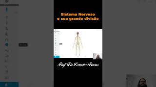 Sistema Nervoso e sua grande divisão  Anatomia  Anatomia Humana [upl. by Ilyak]