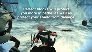 Vindictus  Perfect Blocks Guide [upl. by Yusuk]