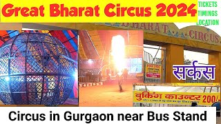 Great Bharat Circus in Gurgaon 2024  गुड़गांव में लगा सर्कस  Amazing Performancebajrangwoodentoys [upl. by Jaquiss]