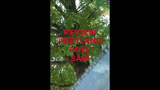 Portland Pole Saw Review portland polesaw chainsaw treetrimming tree cuttingtrees [upl. by Nafis]