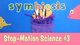 Whats Symbiosis Stopmotion animation science lesson for kids [upl. by Cash]