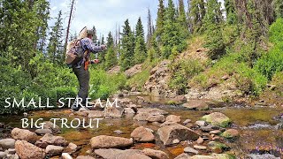 Fly Fishing a Small Stream in Colorado full of BIG Browns Brookies and Native Cutthroat trout [upl. by Branscum]