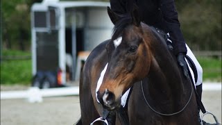 1 er officiel dressage en cordelette 100416 [upl. by Analak975]