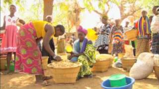 Vu du Ciel  S01E02  1016  Les Dogons cultivateurs du désert  Mali [upl. by Megdal]