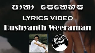 Pana Senehasa පානා සෙනෙහස  Dushyanth Weeraman lyrics video [upl. by Aihsoem]