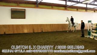 Jumping Horses For Sale  Szuhai Gyula 2015 [upl. by Pellegrini]