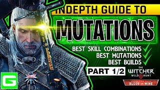 The Witcher 3 Blood amp Wine New Mutation Skill System Full Explanation Build Guide Tutorial PART 12 [upl. by Gabrila]