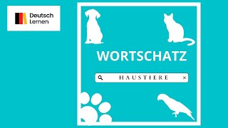 Deutsch Wortschatz A1 die Haustiere  Vocabulary A1 pets [upl. by Anaxor]