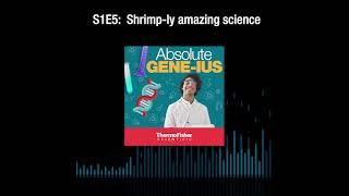 Absolute Geneius S1E5 Shrimply amazing science [upl. by Dennison99]