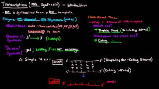 Transcription Part 1 of 6  Introduction [upl. by Tarsus]