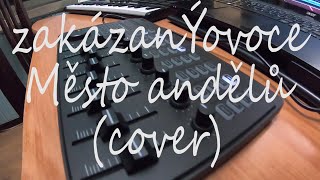 Zakazaný Ovoce  Město Andělů cover [upl. by Anale]