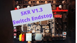 SKR 13  Basic Switch Endstop [upl. by Eninnej]