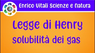 Legge di Henry Solubilità dei gas nei liquidi [upl. by Carley]