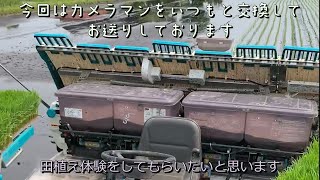 【栃木県高根沢町】⑥番外編！酒米「山田錦」の田植え体験【令和4年5月】 [upl. by Eeuqram]