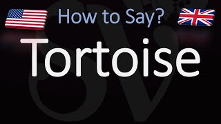 How to Pronounce Tortoise CORRECTLY [upl. by Ellerrad]