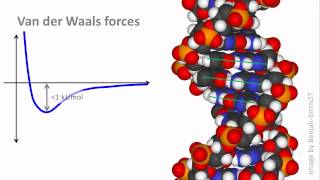 Biochemistry 23 Noncovalent interactions pt 2 [upl. by Ettecul]