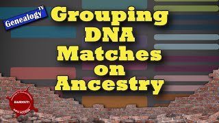 Grouping DNA Cousin Matches on Ancestry [upl. by Ena498]