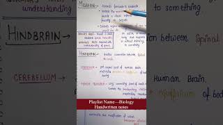 MidbrainCentral Nervous System Unit6 Part23  Biology  General Science  Lec26 [upl. by Hgalehs]