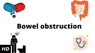 Bowel Obstruction Causes Signs and Symptoms Diagnosis and Treatment [upl. by Eugenides693]