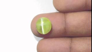 535Carat Lively Greenish Yellow Chrysoberyl Cats Eye IGI [upl. by Inglis]