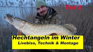 Hechtangeln im Winter Teil 2 DeadbaitLivebiss Technik amp Montage by Stefan Seuß [upl. by Tdnaltroc]