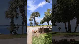 Florida🇺🇲 florida dunedin usa visit explore view sea walking tourism travel shorts [upl. by Atikim]