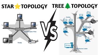 Difference between star topology and tree topologystar topology vs tree topologynetwork topology [upl. by Rendrag]