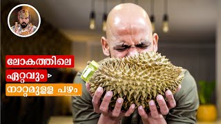 DURIAN FRUIT EATINGMOST STINKY FRUITHOW DURIAN SMOOTHIEPROTEIN SMOOTHIEHOW TO MAKE DURIAN SHAKE [upl. by Utir234]