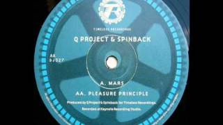 Q Project amp Spinback  Pleasure Principle [upl. by Aylat893]