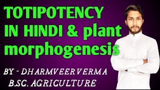 💡TOTIPOTENCY IN HINDI plant morphogenesis [upl. by Ecyt]