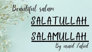 Salatullah Salatullah  beautiful naat  Usaid Zahid [upl. by Nonnac]