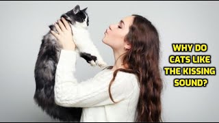 Why Do Cats Respond To Kissing Sounds [upl. by Lessig]