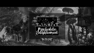 Mr Traumatik  Psychedelic enlightenment [upl. by Siulesoj]