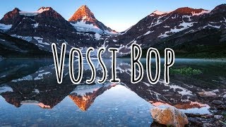 Stormzy  Vossi Bop Clean  Lyrics [upl. by Einnaej]