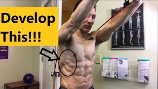 2 Great Serratus Anterior Exercises With Resistance Bands [upl. by Leuqer318]