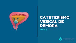 CATETERISMO VESICAL DE DEMORA PARTE 2 [upl. by Denby]